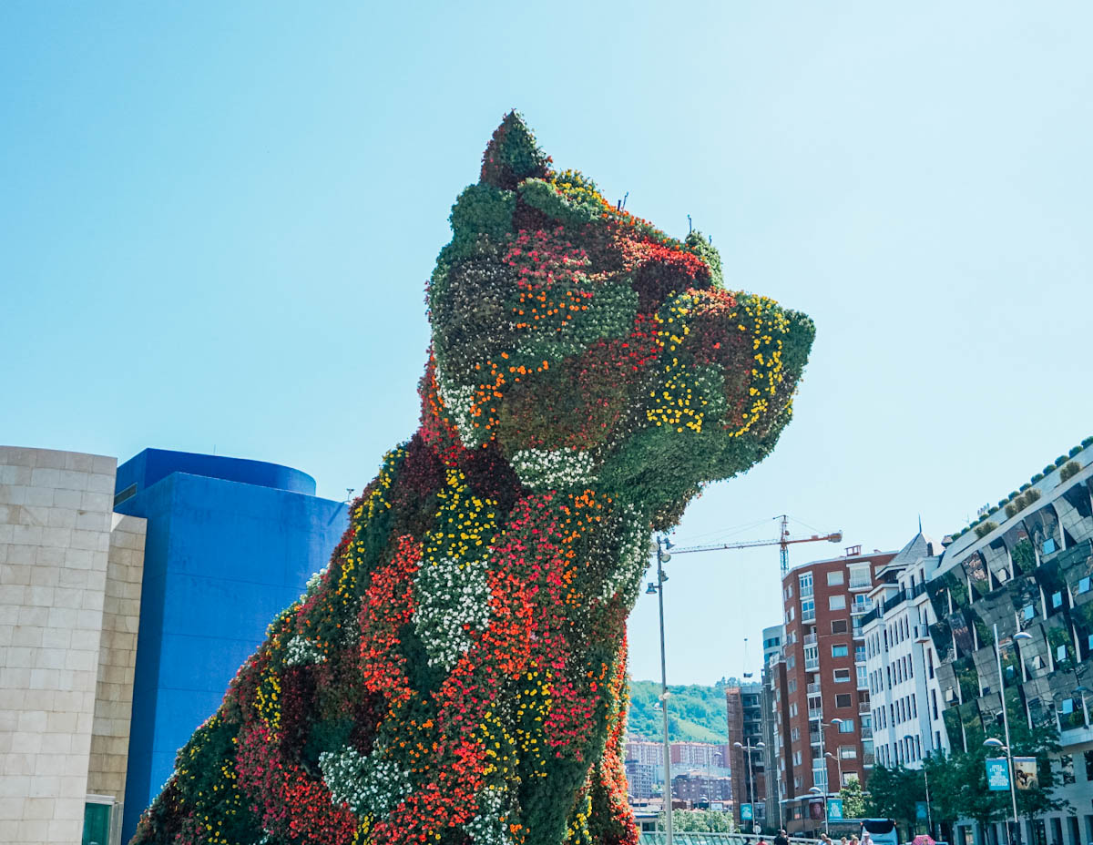 Guía de viaje del puerto de cruceros de Bilbao, qué hay disponible en el puerto cercano a Bilbao
