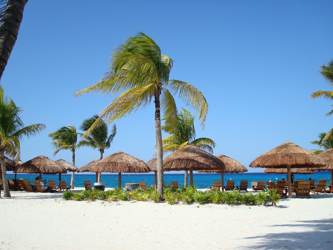Guía ¿Qué hacer en el puerto de cruceros de Cozumel?