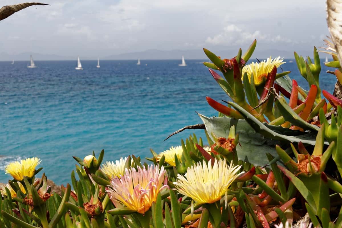 La guía definitiva de vacaciones en velero para familias amantes de los cruceros La guía definitiva de vacaciones en velero para familias amantes de los cruceros