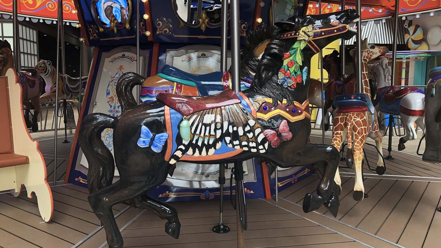 Tour fotográfico de Symphony of the Seas