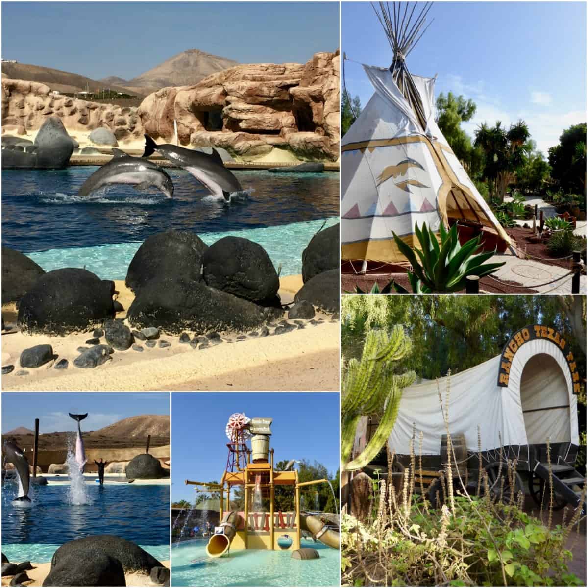 Excursiones en tierra probadas en Lanzarote