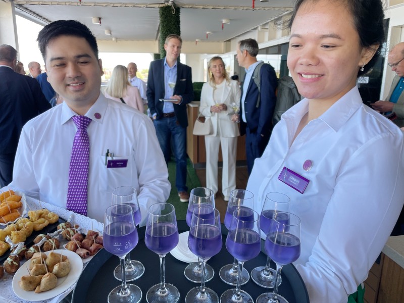 Guía de paquetes de bebidas de Ambassador Cruise Line (2024) Guía de paquetes de bebidas de Ambassador Cruise Line (2024)