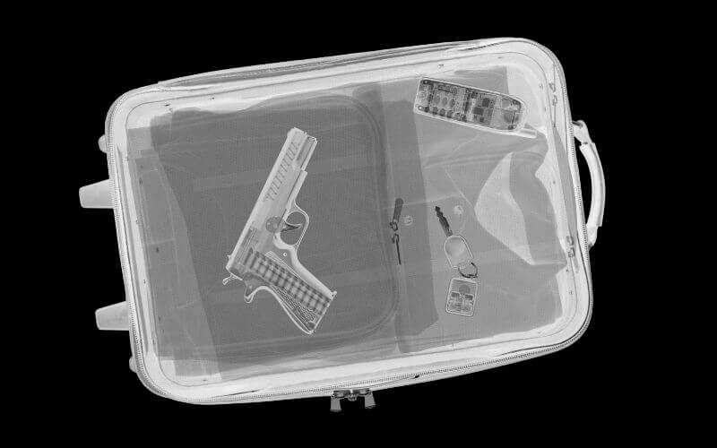 Armas en cruceros (invitados, tripulación y reglas de seguridad) Armas en cruceros (invitados, tripulación y reglas de seguridad)