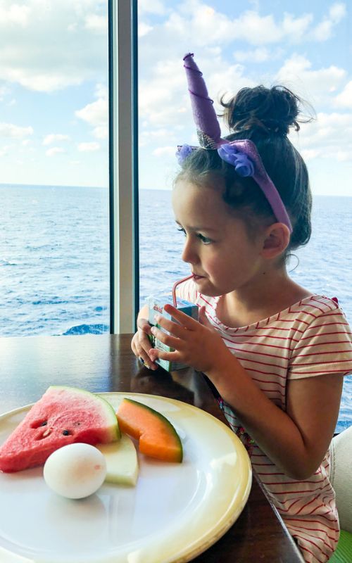 ¿Está incluida la comida en los cruceros? ¿Está incluida la comida en los cruceros?