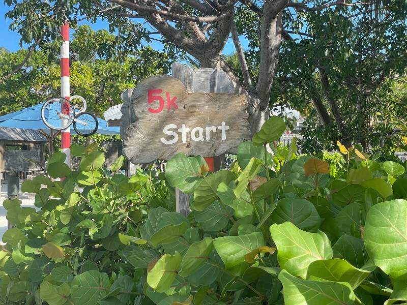 Castaway Cay: 34 secretos sobre la isla privada de Disney