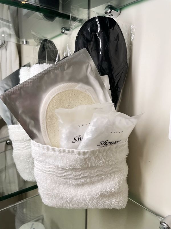 Baños de cruceros: todo lo que necesitas saber Baños de cruceros: todo lo que necesitas saber