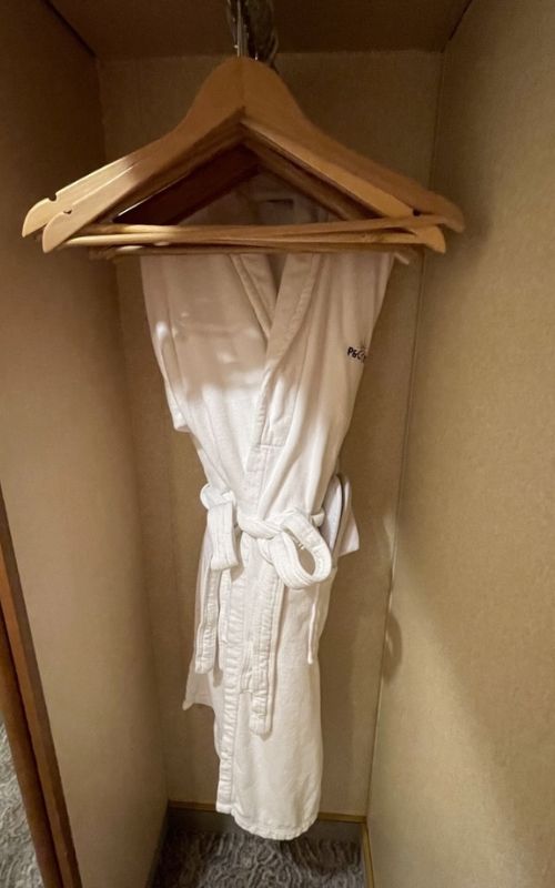 Beneficios de la suite P&O Cruises: ¿Por qué actualizar? Beneficios de la suite P&O Cruises: ¿Por qué actualizar?