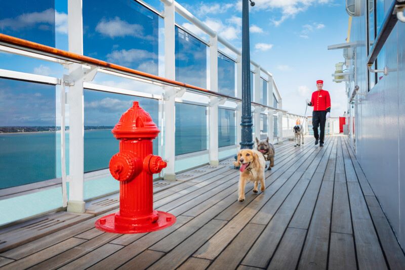 5 formas de llevar a tu perro a un crucero 5 formas de llevar a tu perro a un crucero