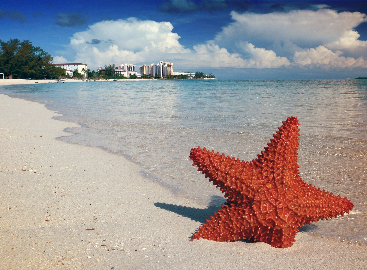 Las mejores cosas para hacer en Nasáu, Bahamas Las mejores cosas para hacer en Nasáu, Bahamas