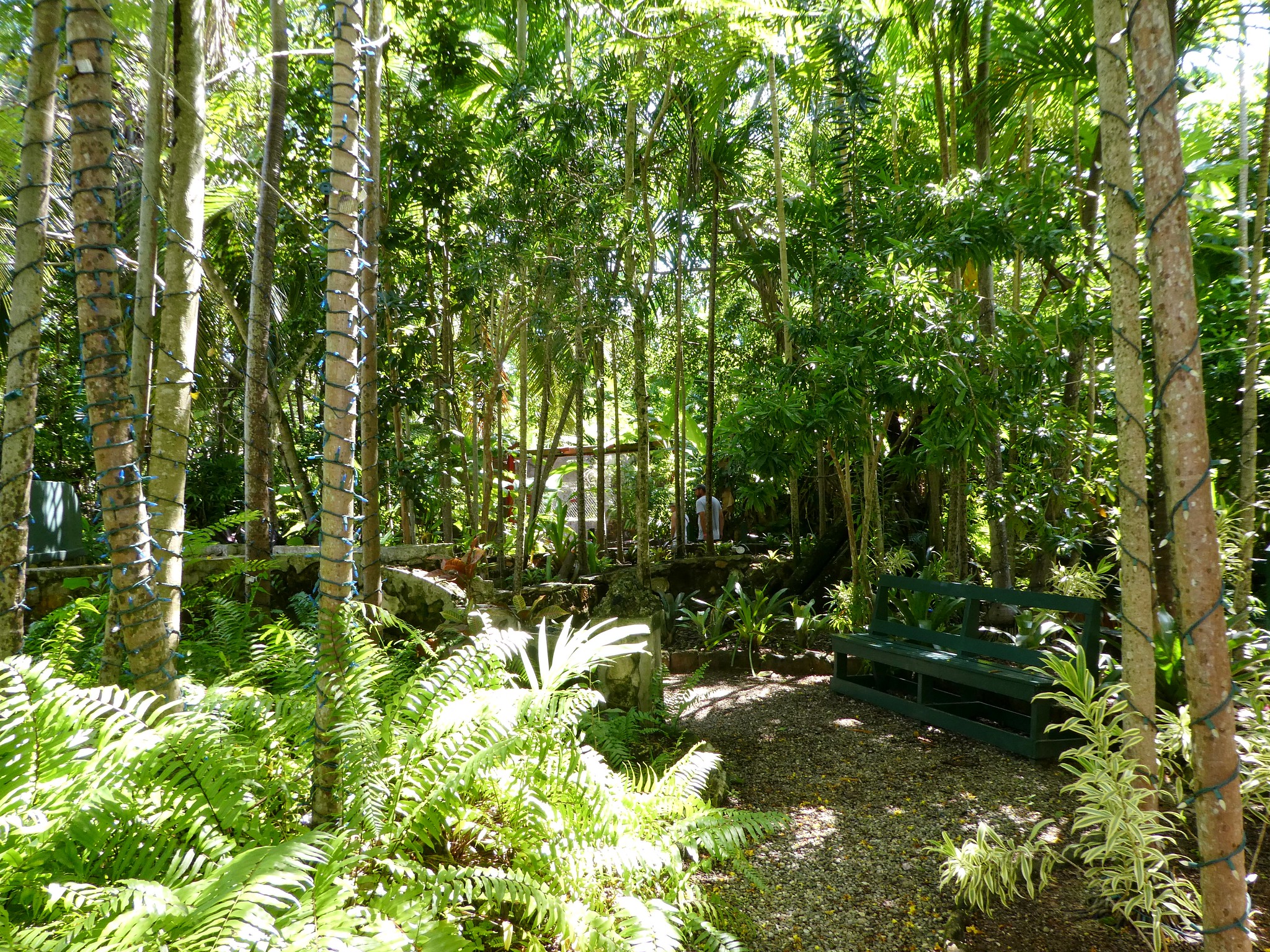 Las mejores cosas para hacer en Nasáu, Bahamas Las mejores cosas para hacer en Nasáu, Bahamas
