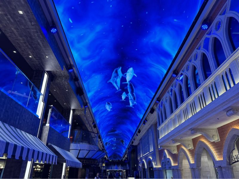¡Hice un crucero por £99! Revisión de cruceros MSC baratos