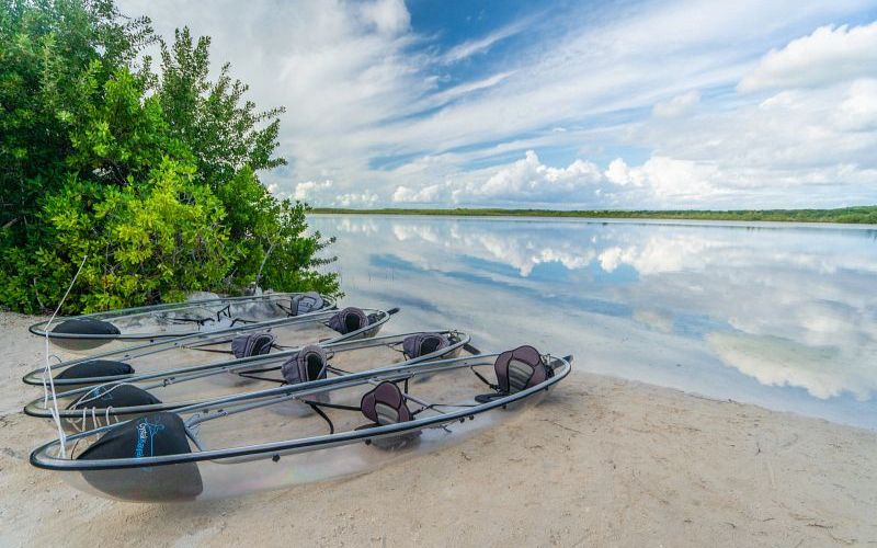 Princess Cays vs. Half Moon Cay: 8 diferencias clave Princess Cays vs. Half Moon Cay: 8 diferencias clave