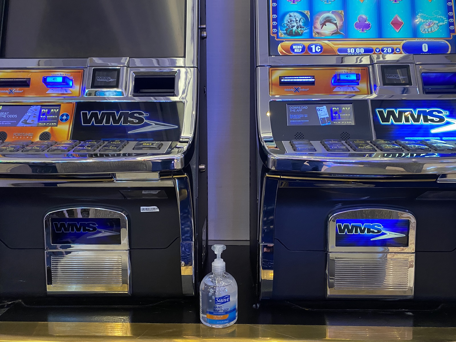 En vivo desde Celebrity Millennium: Squeaky Clean