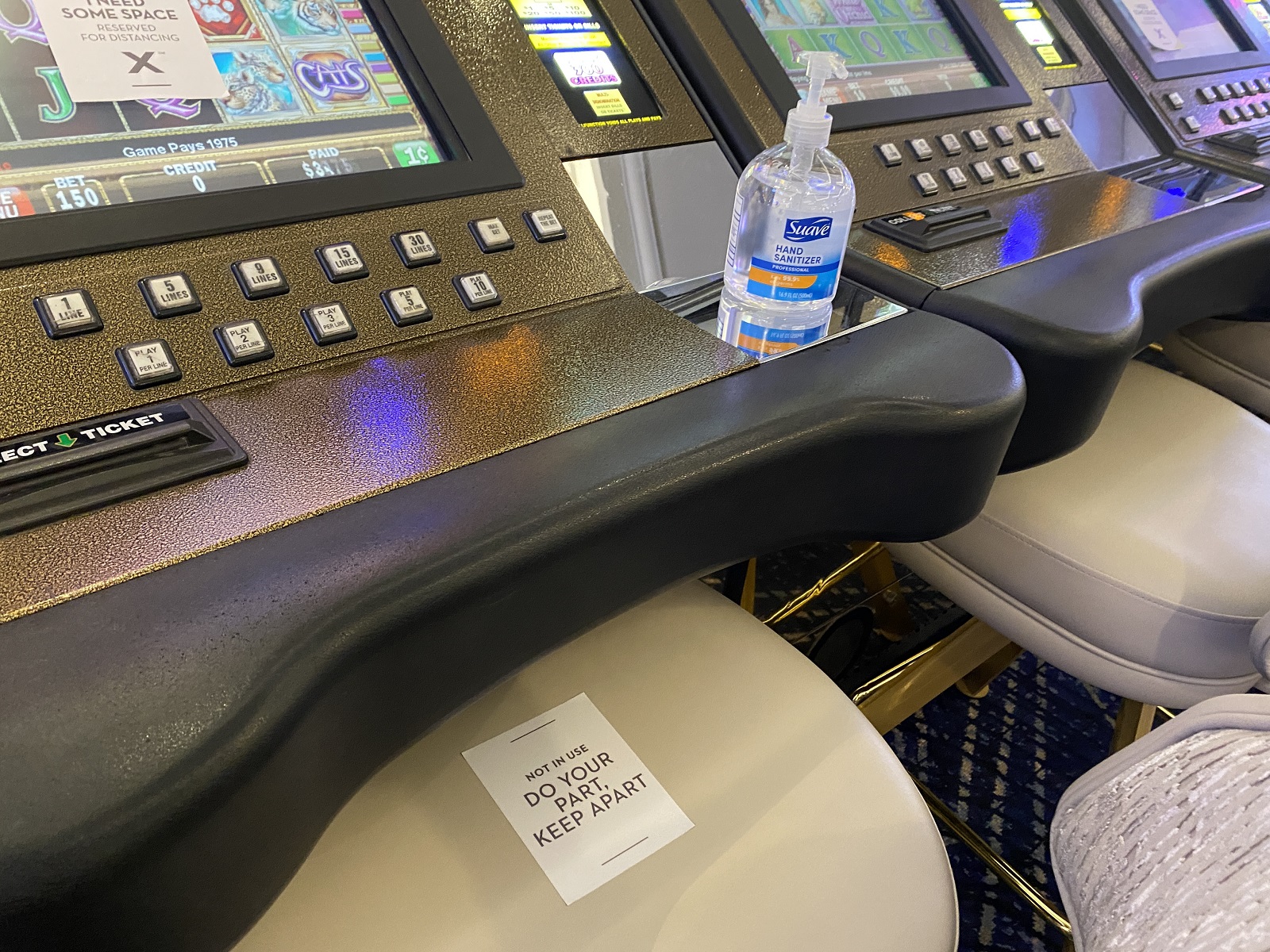 En vivo desde Celebrity Millennium: Squeaky Clean