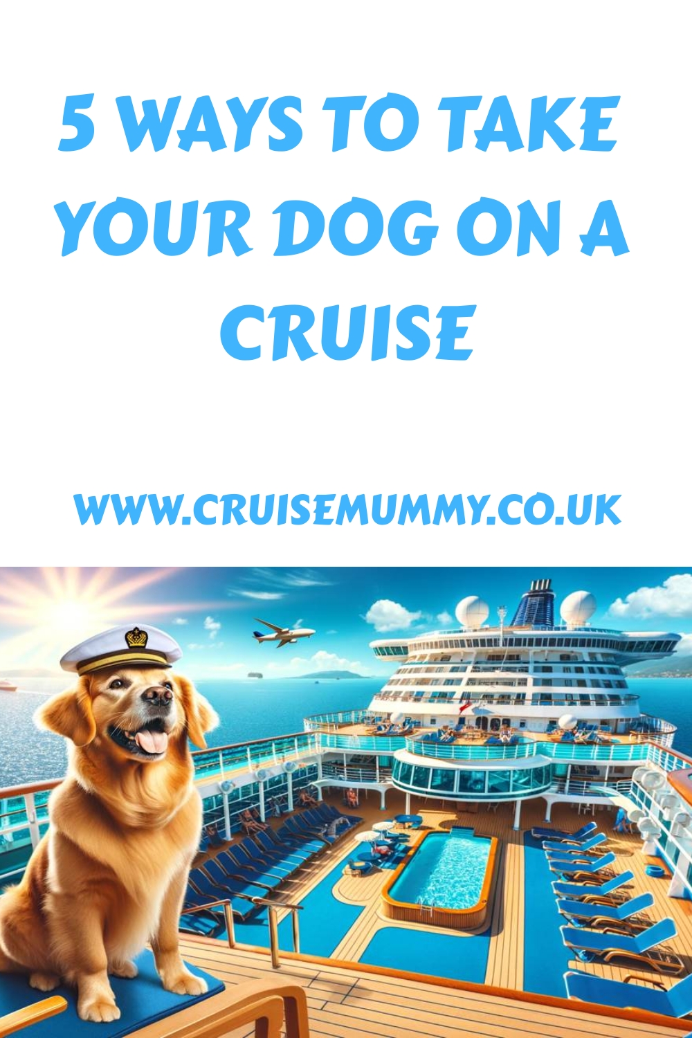 5 formas de llevar a tu perro a un crucero