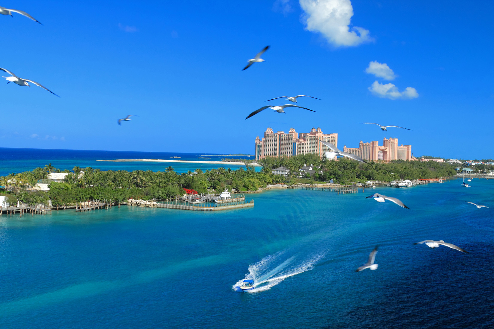 Las mejores cosas para hacer en Nasáu, Bahamas Las mejores cosas para hacer en Nasáu, Bahamas