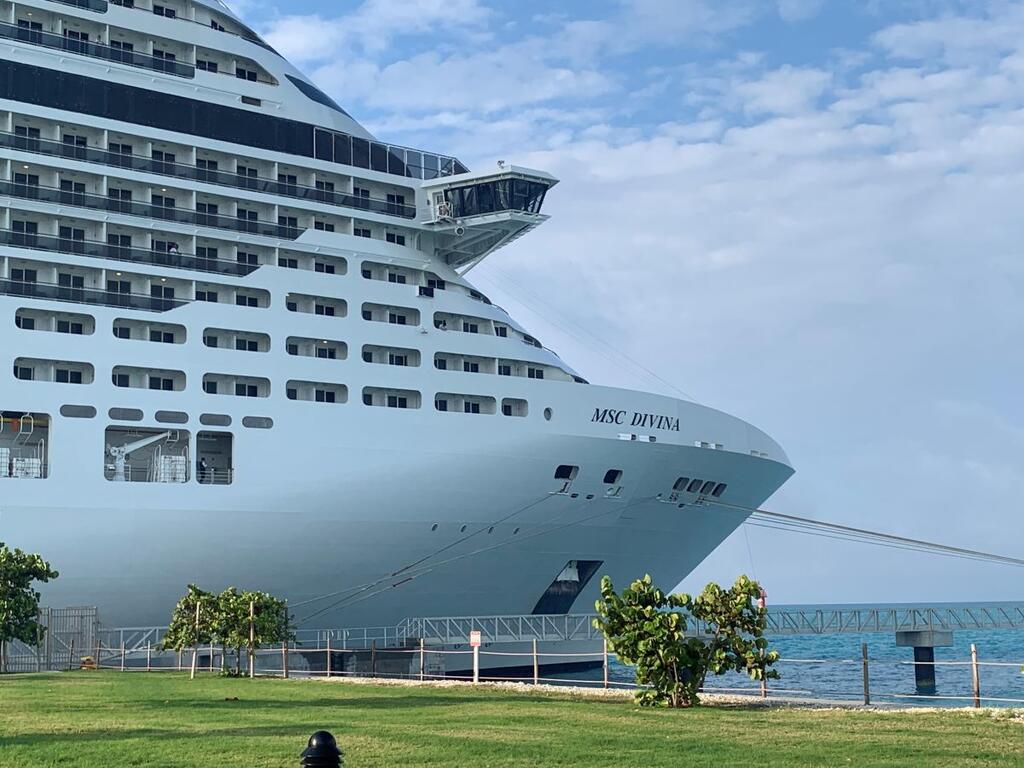 20 cosas que amé y odié en el MSC Divina