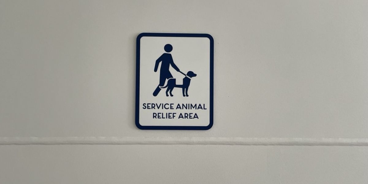 ¿Dónde van al baño los perros en un crucero?