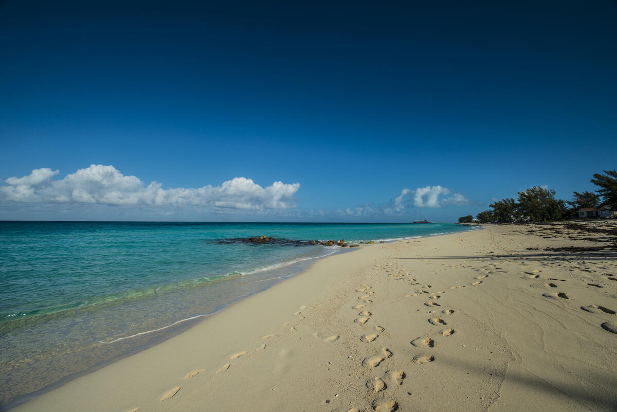 20 cosas divertidas para hacer en Bimini, Bahamas