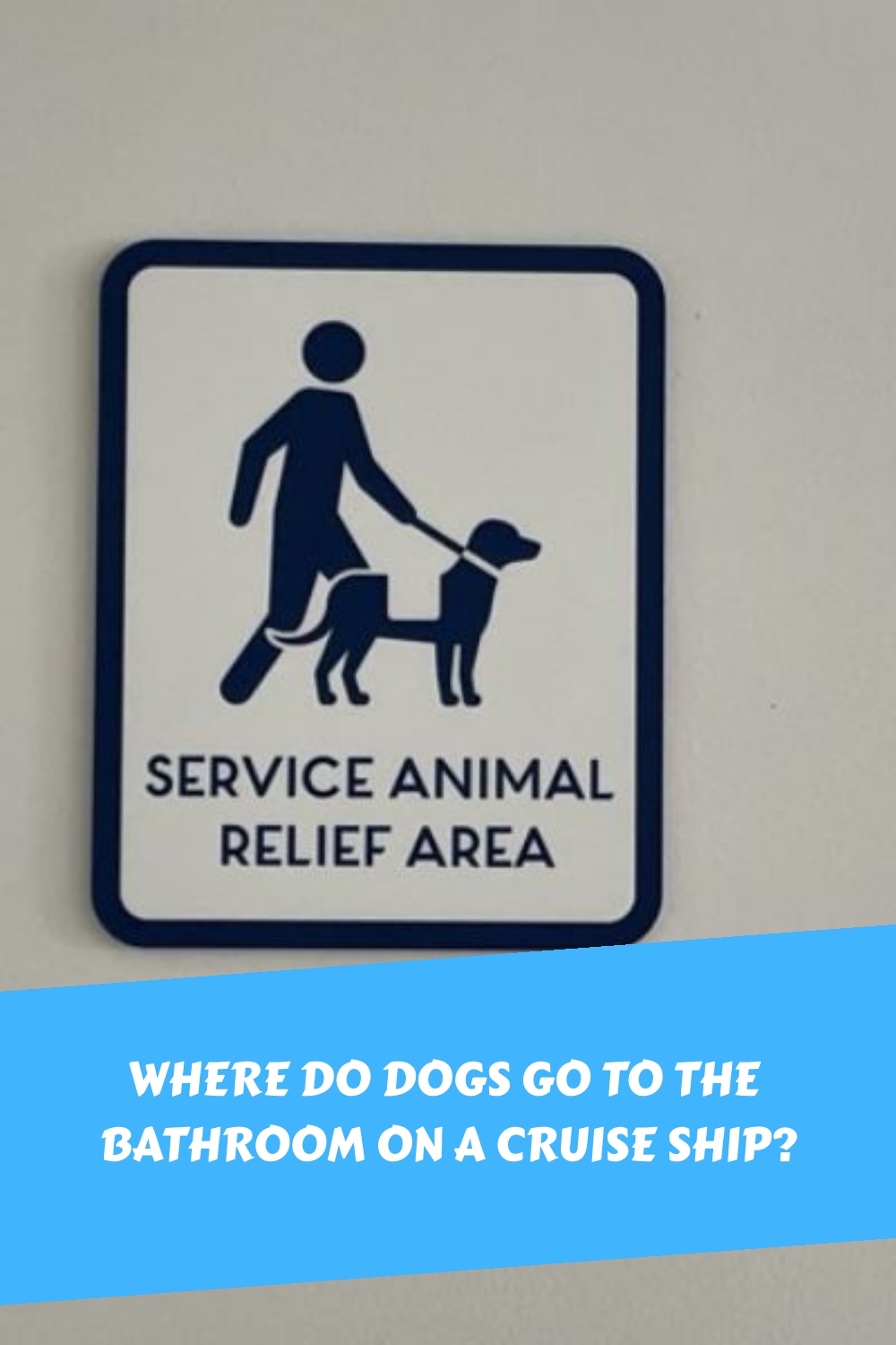 ¿Dónde van al baño los perros en un crucero?