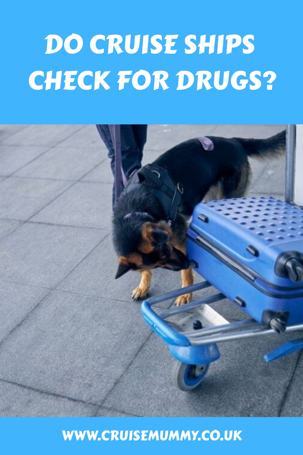 ¿Los cruceros realizan controles de drogas?