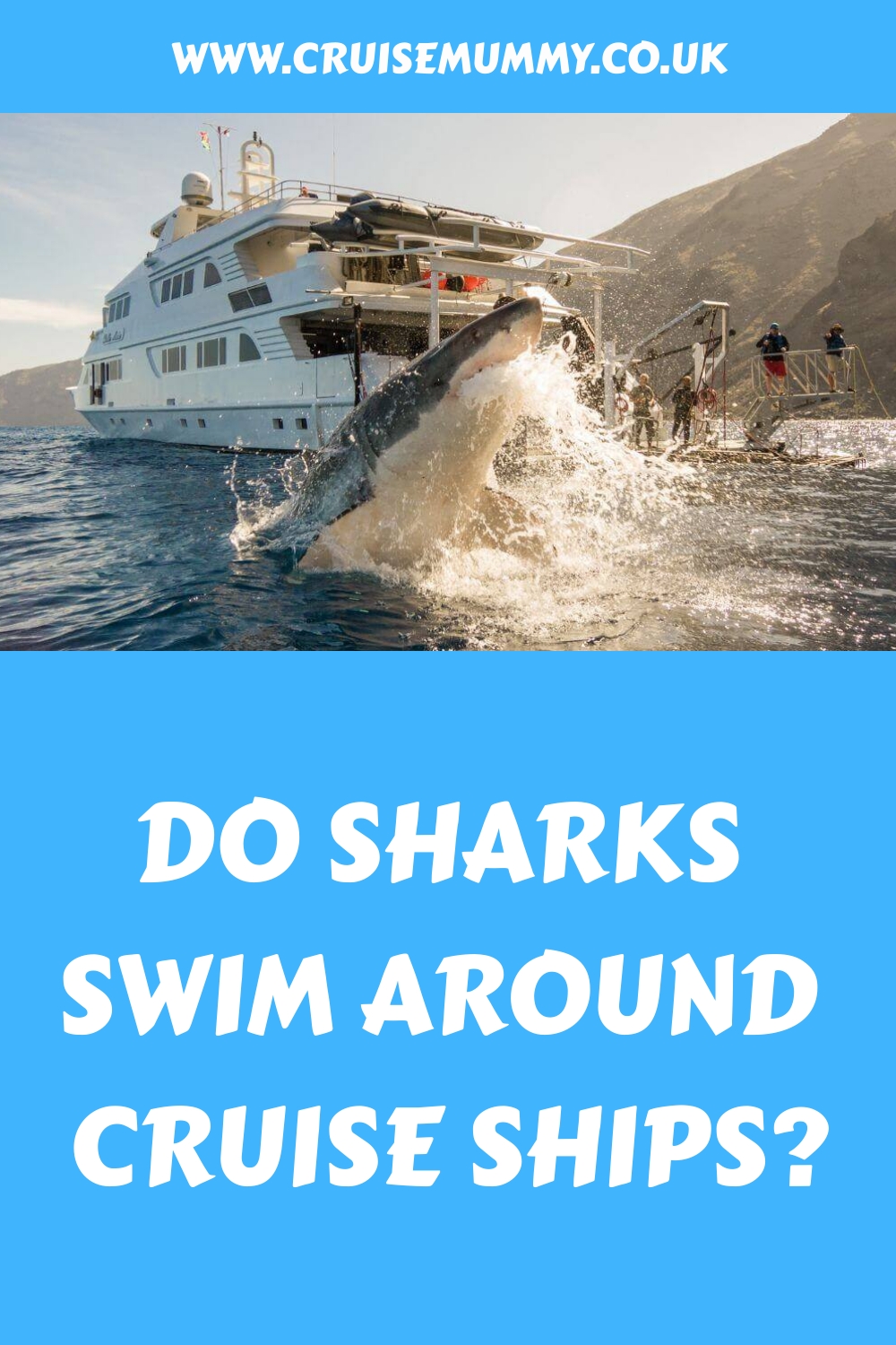¿Los tiburones nadan alrededor de los cruceros?