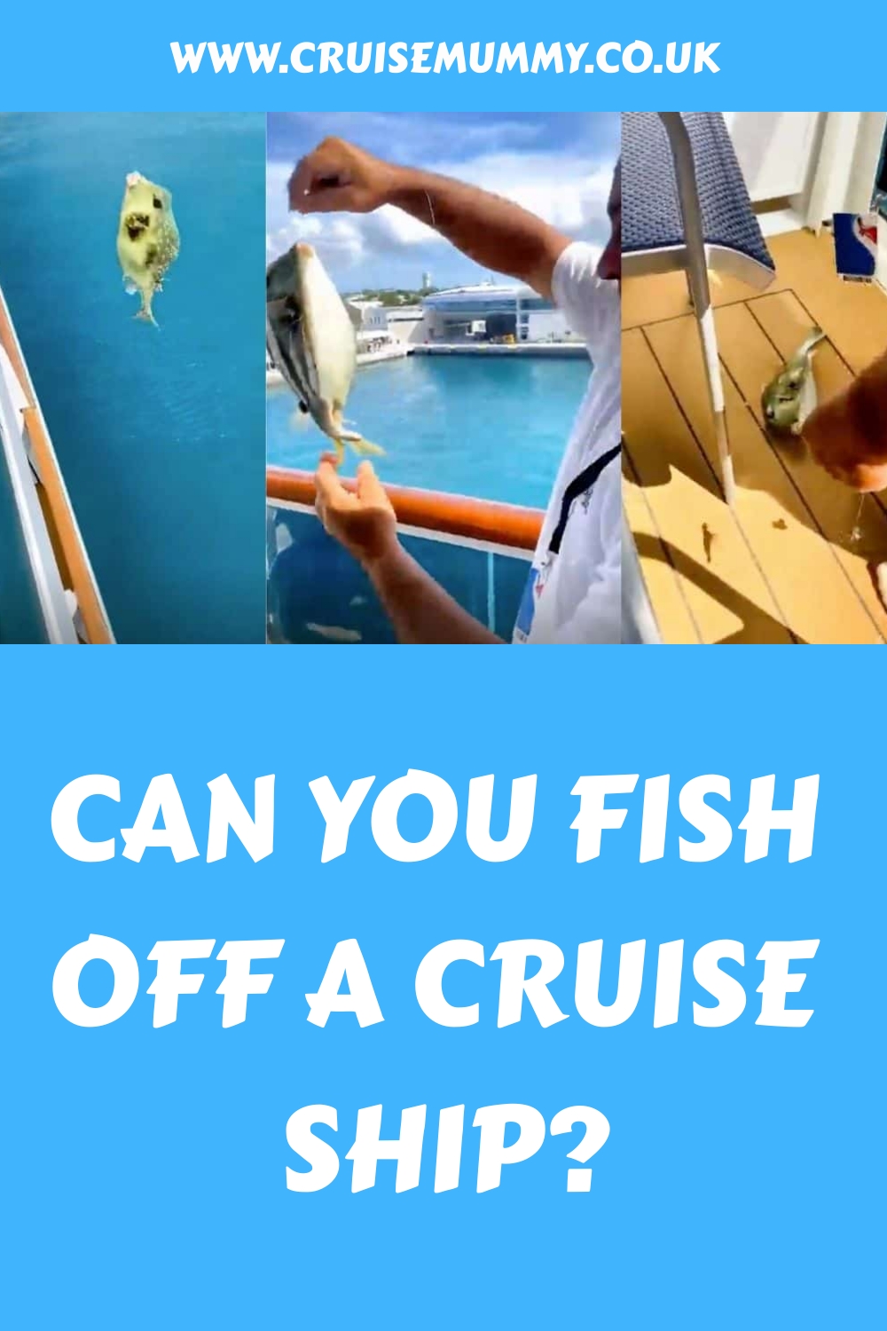 ¿Se puede pescar desde un crucero?
